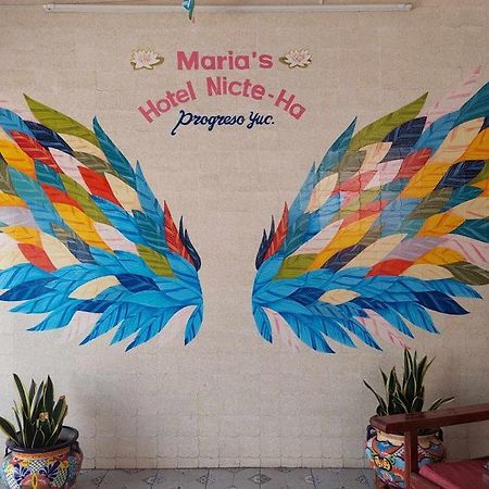 Hotel Maria'S Nicte Ha Progreso  Exterior photo